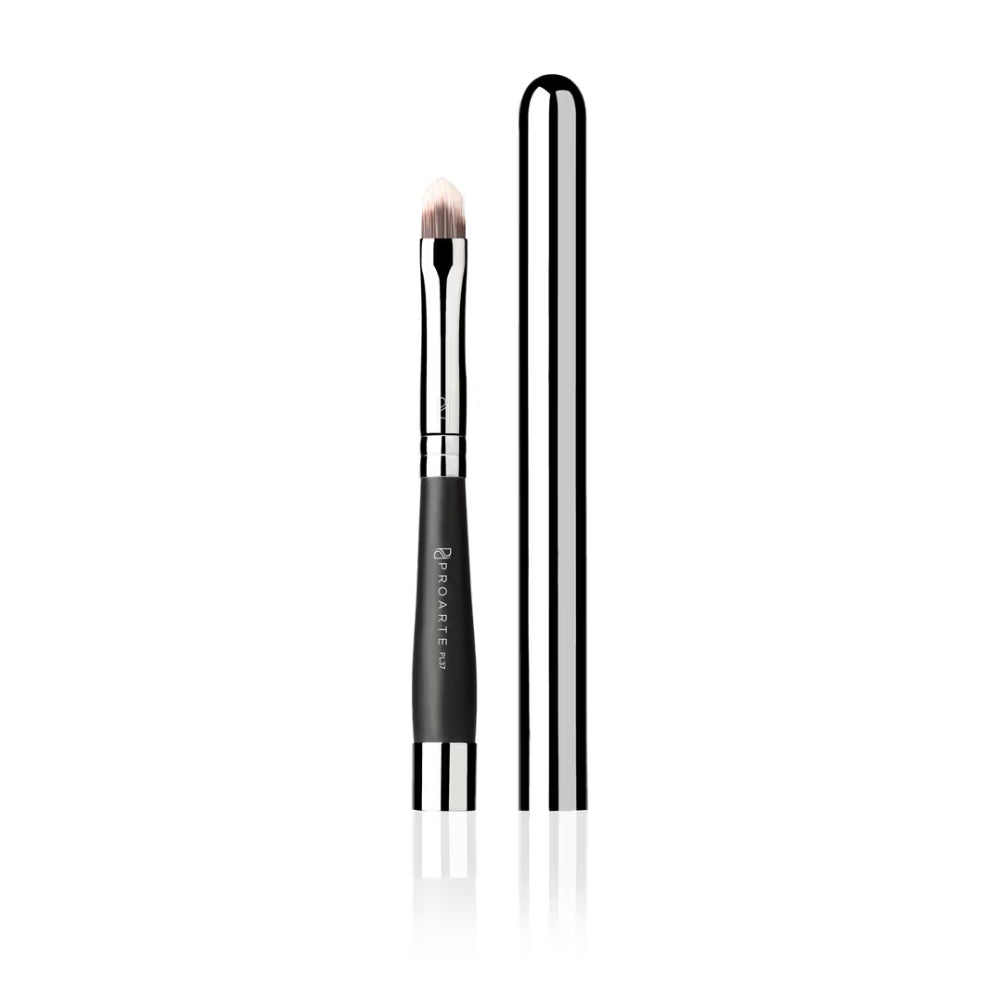 Pro Arte Retractable Lip Brush PL37