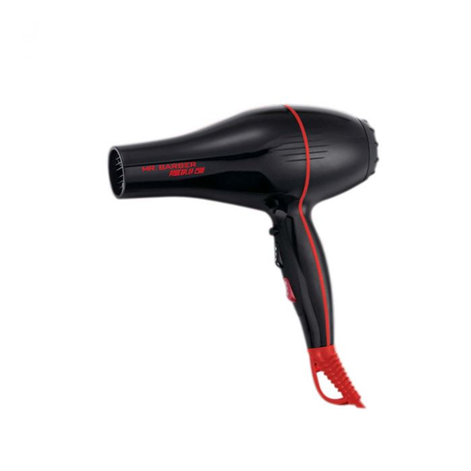 Hector Ionic Professional 2400W Hair Dryer